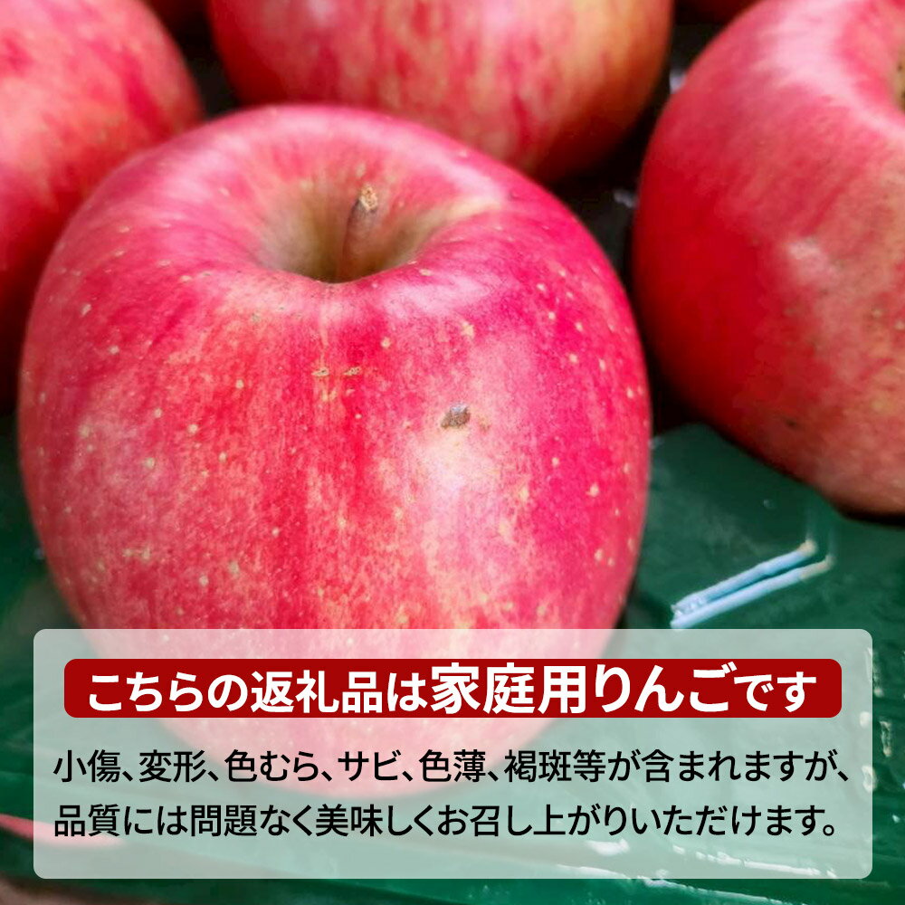 【ふるさと納税】【25年11月〜発送】りんご【家庭用】金星（有袋）約5kg サムネイル2