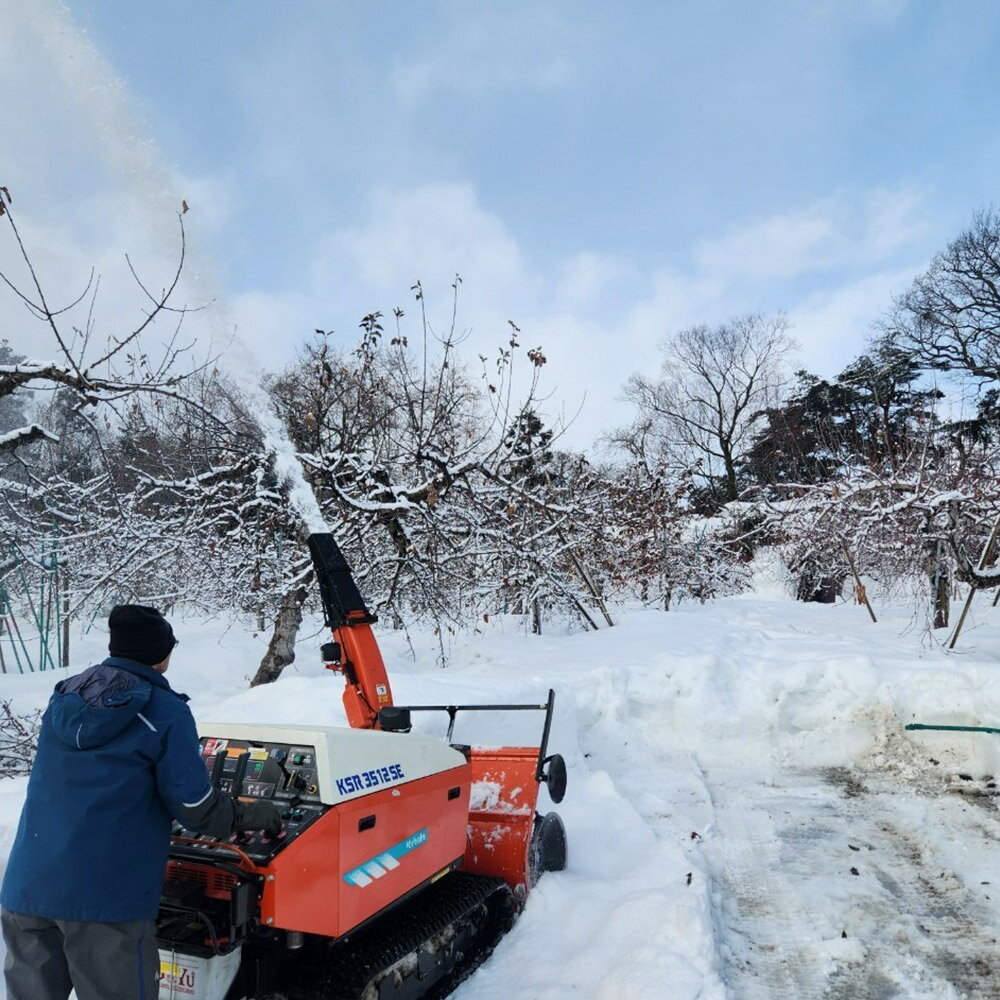 【ふるさと納税】【25年11月〜発送】りんご【家庭用】金星（有袋）約5kg サムネイル3