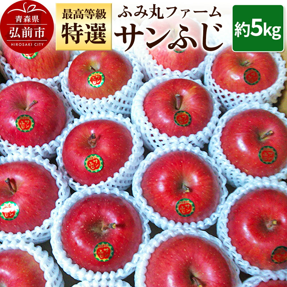 【25年12月発送】りんご ふみ丸ファーム 最高等級「特選」 サンふじ 約5kg