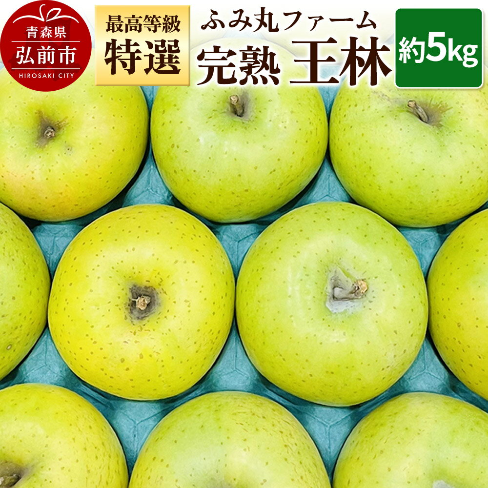 【25年12月発送】りんご ふみ丸ファーム 最高等級「特選」完熟 王林 約5kg