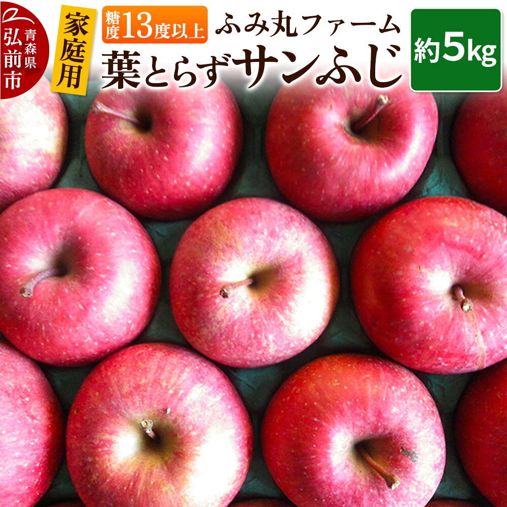 【25年12月発送】りんご【家庭用】葉とらず サンふじ 約5kg 糖度13度以上