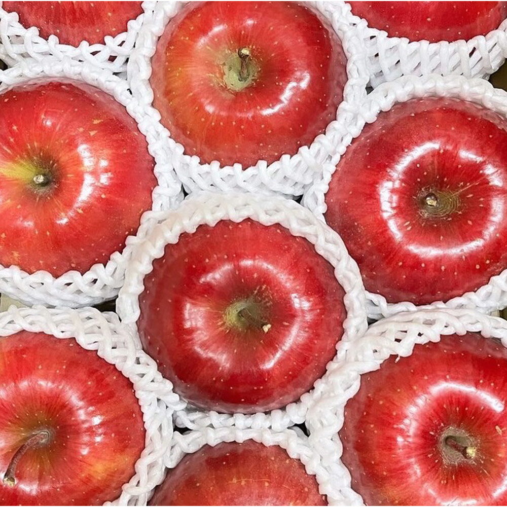 【ふるさと納税】【25年11月出荷】りんご 權之丞 サンふじ 贈答用 約5kg【弘前市産・青森りんご】 サムネイル2