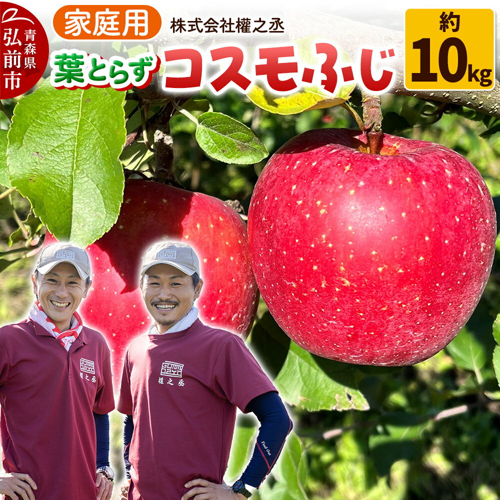 【25年11月出荷】りんご 權之丞 葉とらずりんご コスモふじ 家庭用 約10kg【弘前市産・青森りんご】