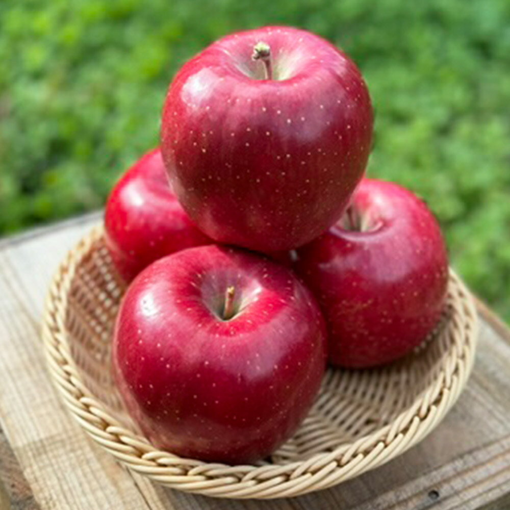 【ふるさと納税】【25年11月出荷】りんご 權之丞 葉とらずりんご コスモふじ 家庭用 約10kg【弘前市産・青森りんご】 サムネイル3