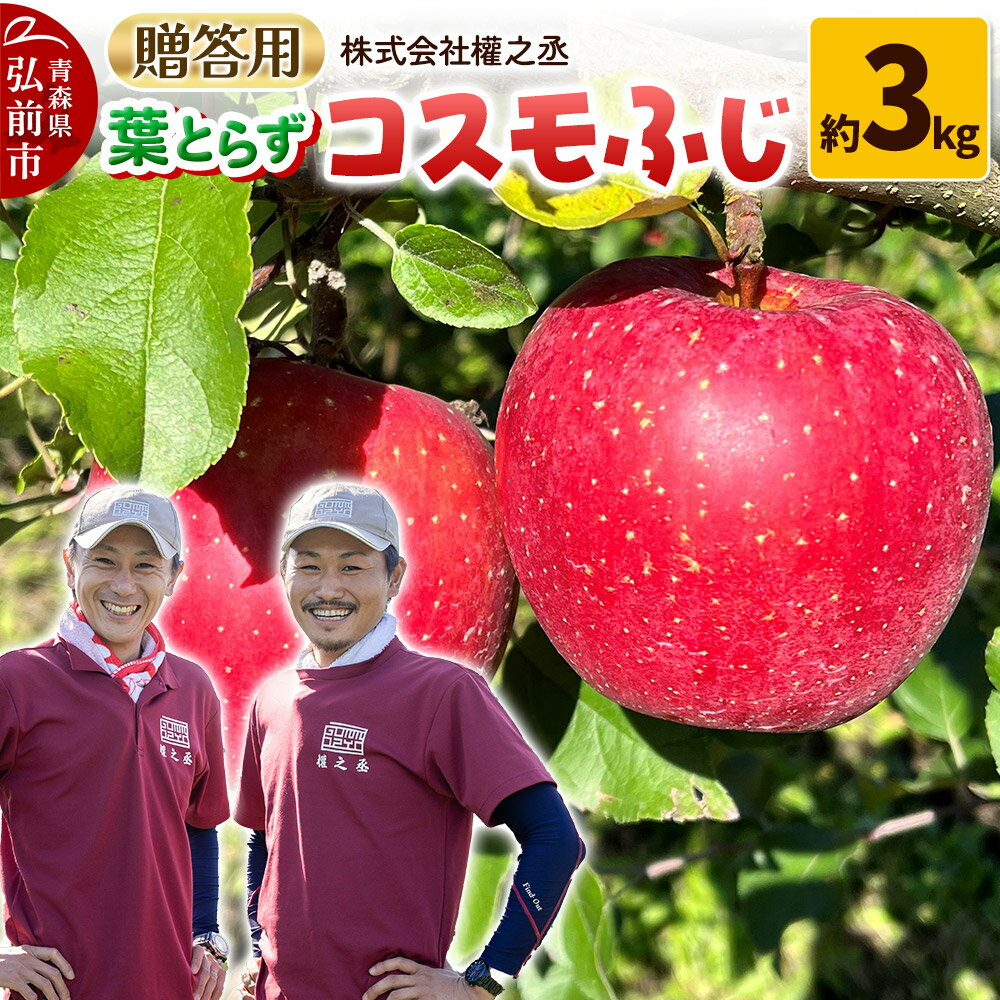 【25年11月出荷】りんご 權之丞 葉とらずりんご コスモふじ 贈答用 約3kg【弘前市産・青森りんご】