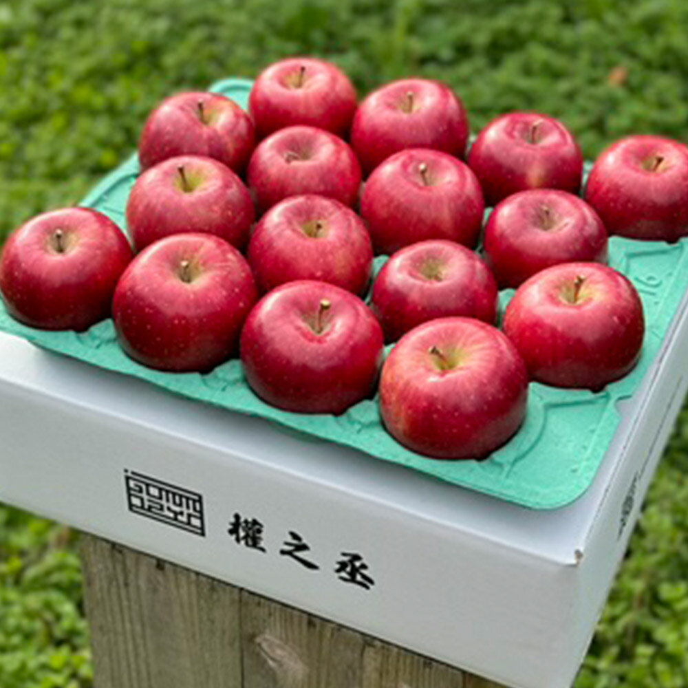 【ふるさと納税】【25年11月出荷】りんご 權之丞 葉とらずりんご コスモふじ 贈答用 約5kg【弘前市産・青森りんご】 サムネイル2