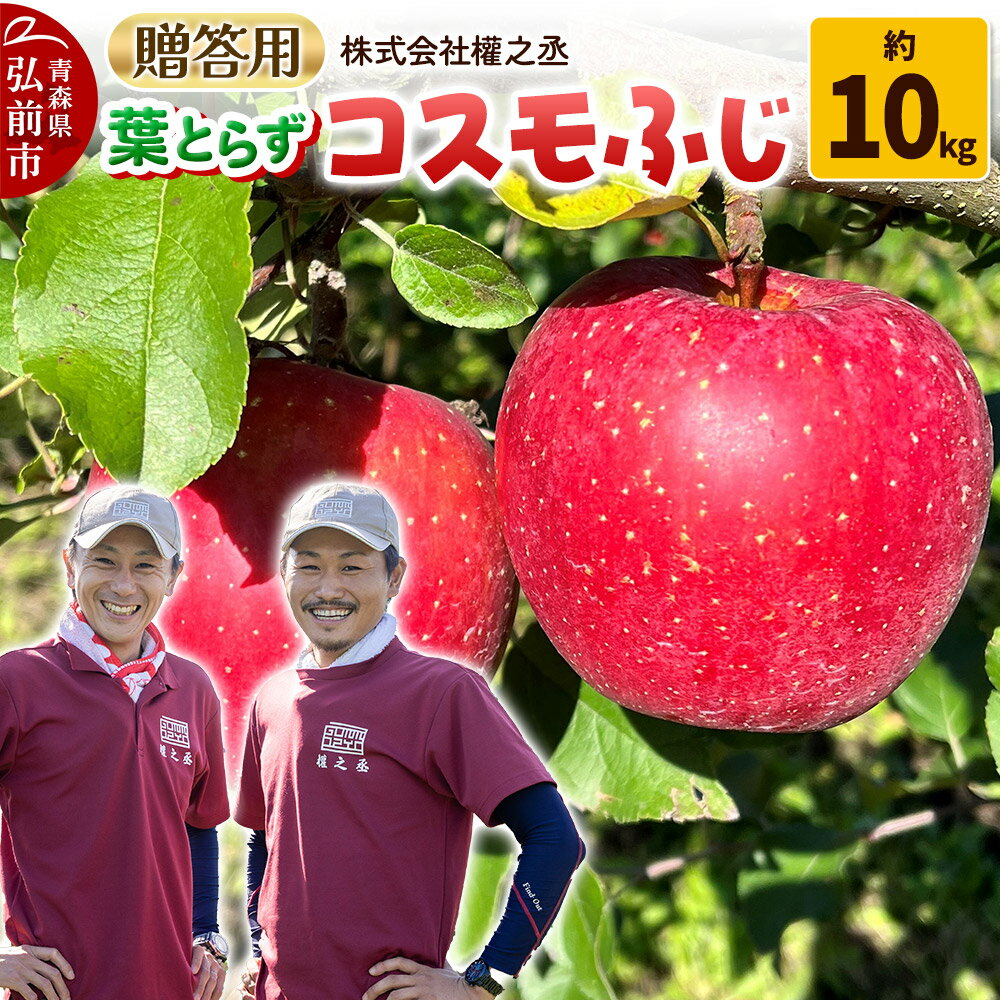 【25年11月出荷】りんご 權之丞 葉とらずりんご コスモふじ 贈答用 約10kg【弘前市産・青森りんご】