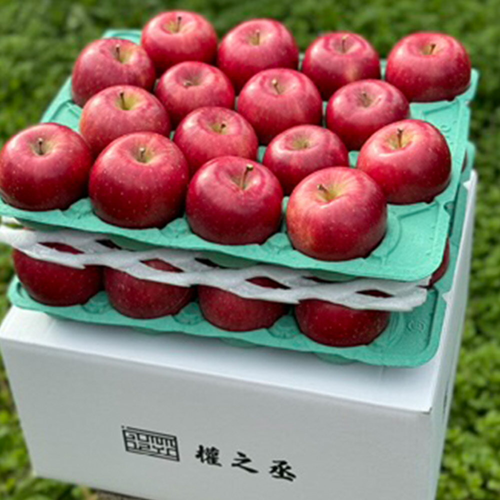 【ふるさと納税】【25年11月出荷】りんご 權之丞 葉とらずりんご コスモふじ 贈答用 約10kg【弘前市産・青森りんご】 サムネイル2