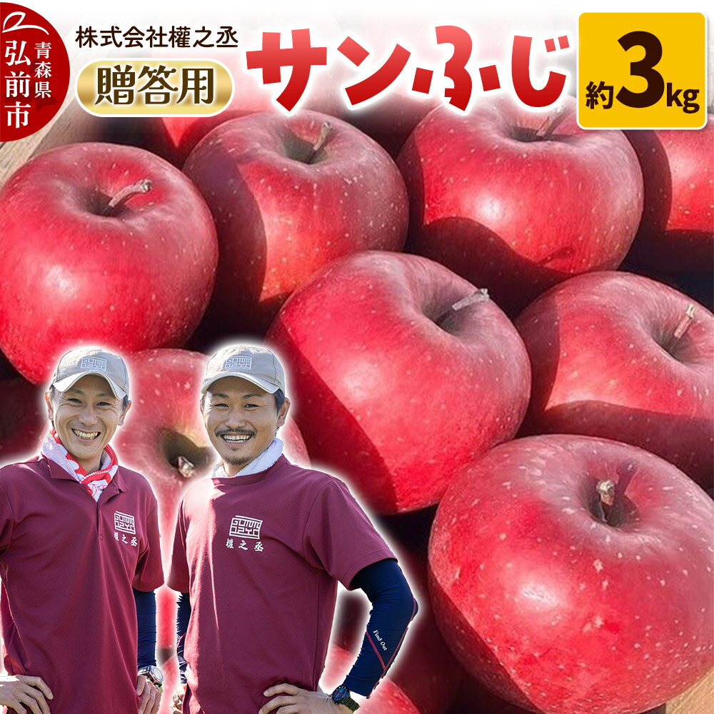【25年11月出荷】りんご 權之丞 サンふじ 贈答用 約3kg【弘前市産・青森りんご】