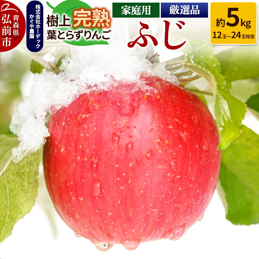 【25年11月〜発送】りんご ふじ 約5kg（12玉〜24玉程度）樹上完熟葉とらず【家庭用】厳選品 青森県産 りんご