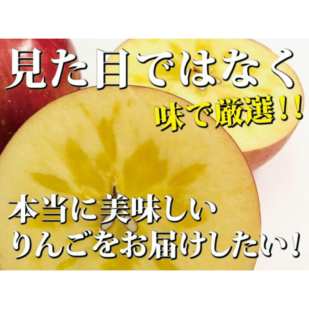 【ふるさと納税】 【25年11月〜発送】りんご ふじ 約5kg（12玉〜24玉程度）樹上完熟葉とらず【家庭用】厳選品 青森県産 りんご サムネイル2