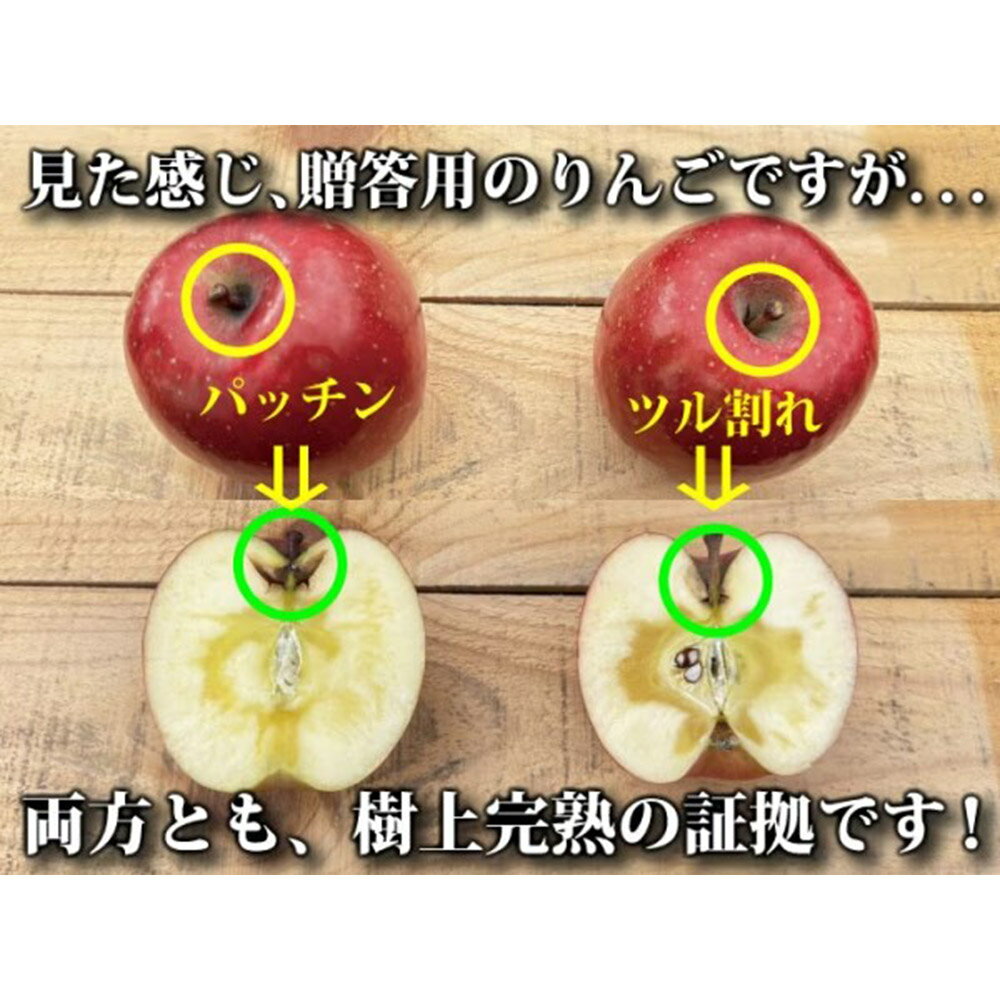 【ふるさと納税】 【25年11月〜発送】りんご ふじ 約5kg（12玉〜24玉程度）樹上完熟葉とらず【家庭用】厳選品 青森県産 りんご サムネイル3