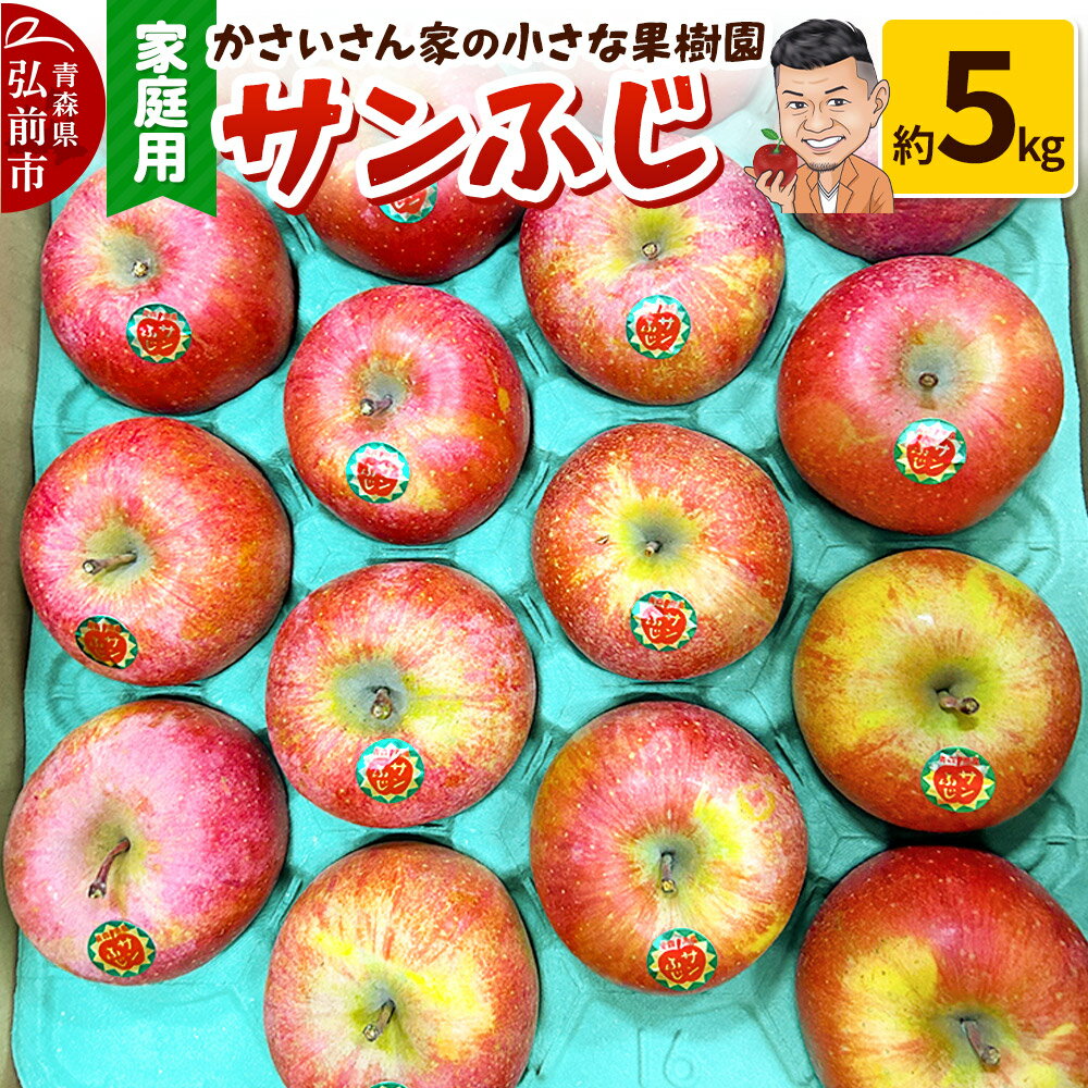 【26年1月〜発送】りんご サンふじ 約5kg【家庭用】