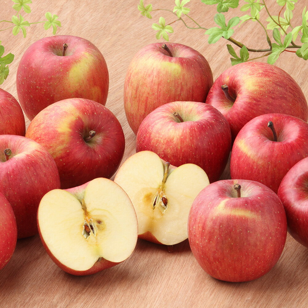 【ふるさと納税】【26年2月発送】りんご 葉取らずサンふじ【訳あり】約5kg キタエアップル サムネイル2