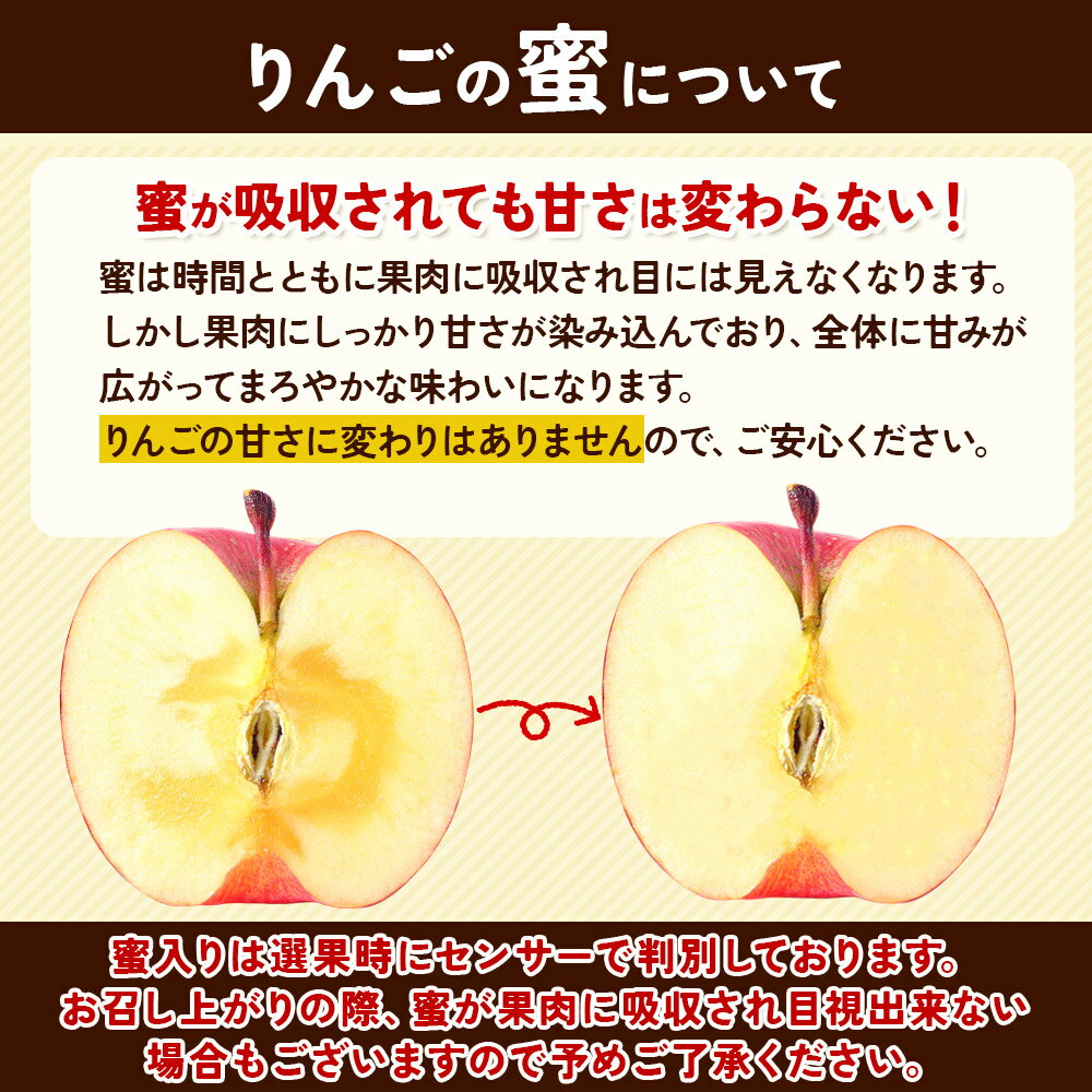 【ふるさと納税】【25年11月〜発送】りんご【贈答】高徳 約2kg（8〜13玉程度） サムネイル3