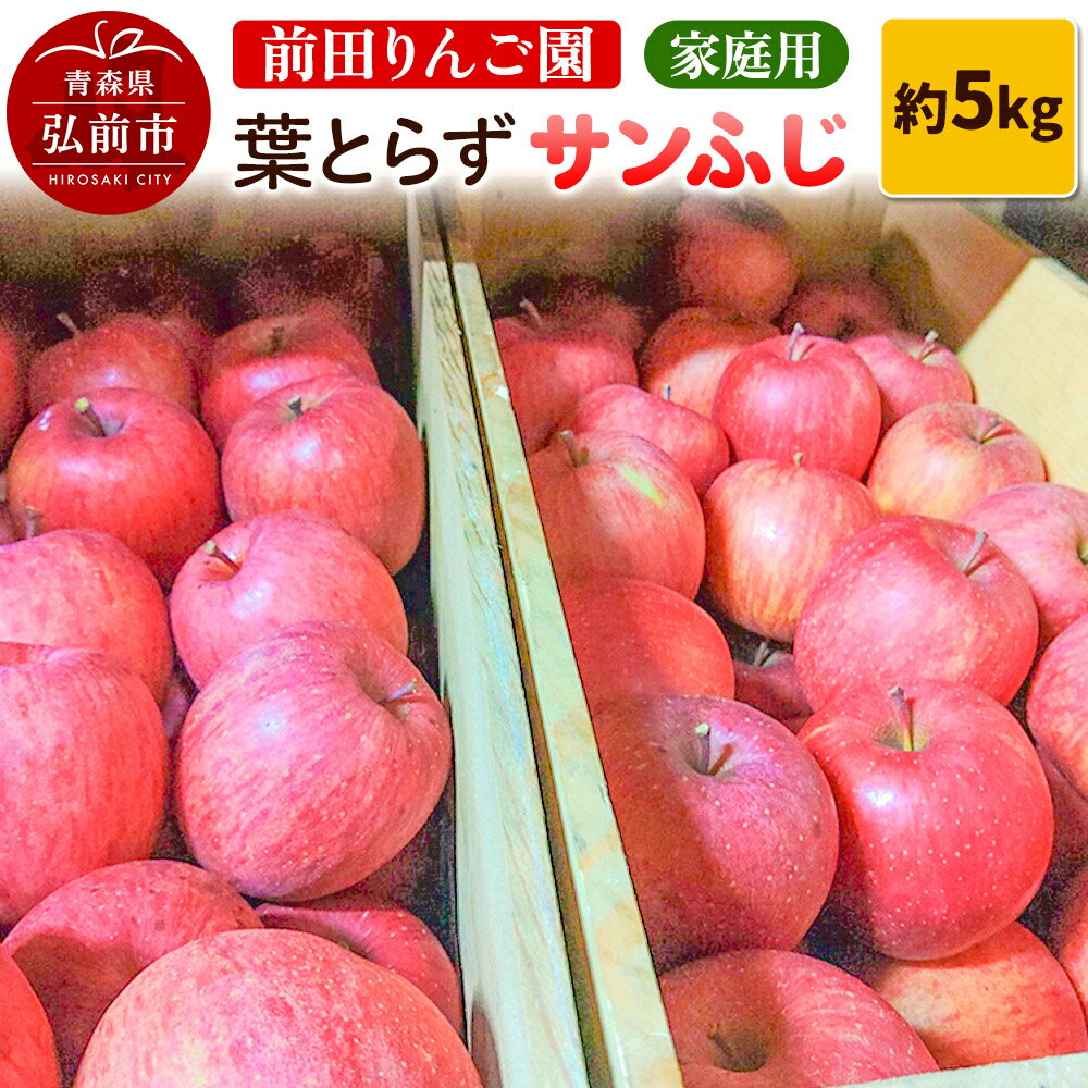 【12月〜発送】りんご【先行受付】家庭用 葉とらず サンふじ 約 5kg (16〜20玉程度) 前田りんご園 青森 果物 フルーツ 林檎 リンゴ くだもの 予約