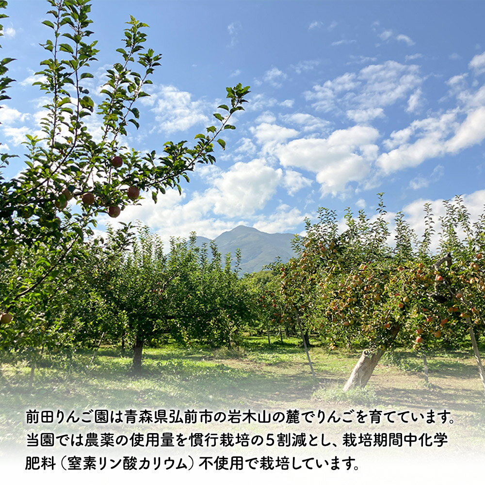 【ふるさと納税】 【12月〜発送】りんご【先行受付】家庭用 葉とらず サンふじ 約 5kg (16〜20玉程度) 前田りんご園 青森 果物 フルーツ 林檎 リンゴ くだもの 予約 サムネイル3