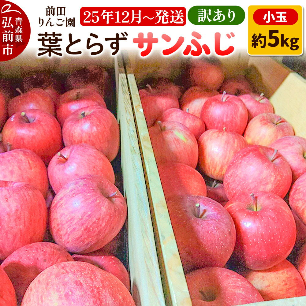 【25年12月発送】りんご【訳あり】葉とらず サンふじ 約5kg 小玉 前田りんご園