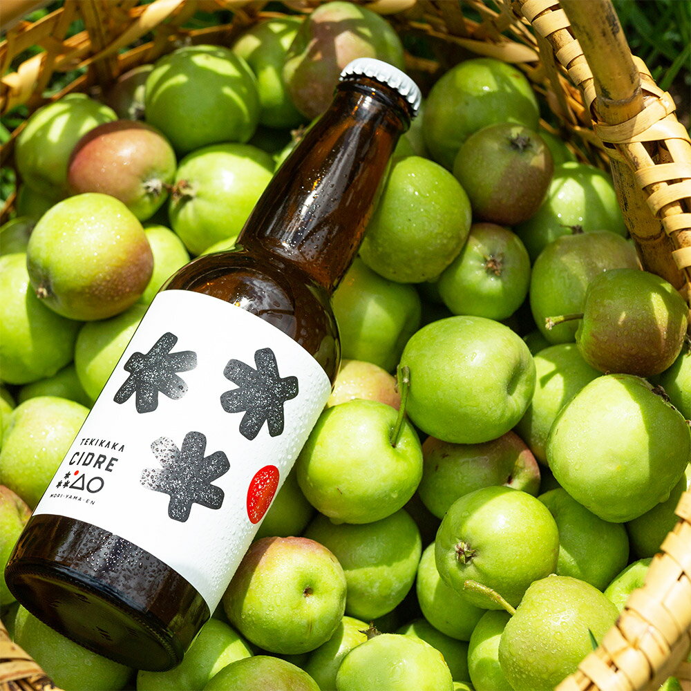 【ふるさと納税】未来を育てるりんごのお酒 テキカカシードル （シードル、ライチ）各330ml×3本 計6本 お酒 青森 弘前 林檎 リンゴ サムネイル3