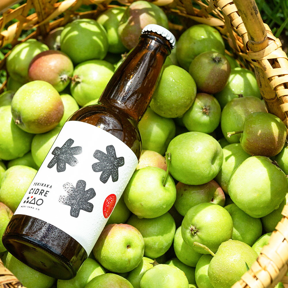 【ふるさと納税】未来を育てるりんごのお酒 テキカカシードル 330ml×24本 お酒 青森 弘前 林檎 リンゴ サムネイル3