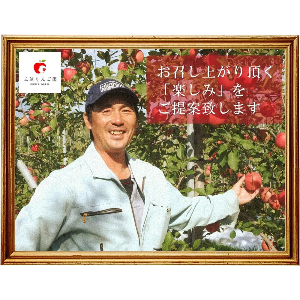 【ふるさと納税】 【25年11月〜発送】りんご【訳あり】家庭用 ぐんま名月 約5kg 糖度13度以上（糖度証明書付）【先行受付】 青森 果物 フルーツ 林檎 リンゴ くだもの 不揃い 規格外 予約 サムネイル3