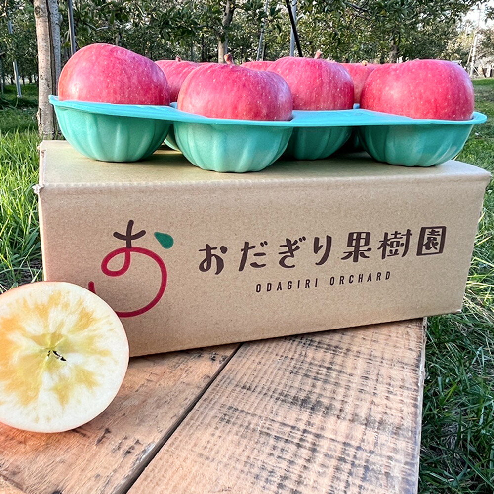 【ふるさと納税】【25年11月〜発送】りんご【贈答】高徳 約2kg（8〜13玉程度） サムネイル2