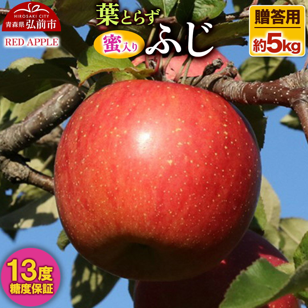 【25年12月発送】りんご 蜜入り 13度糖度保証【贈答用】葉とらずふじ 約5kg