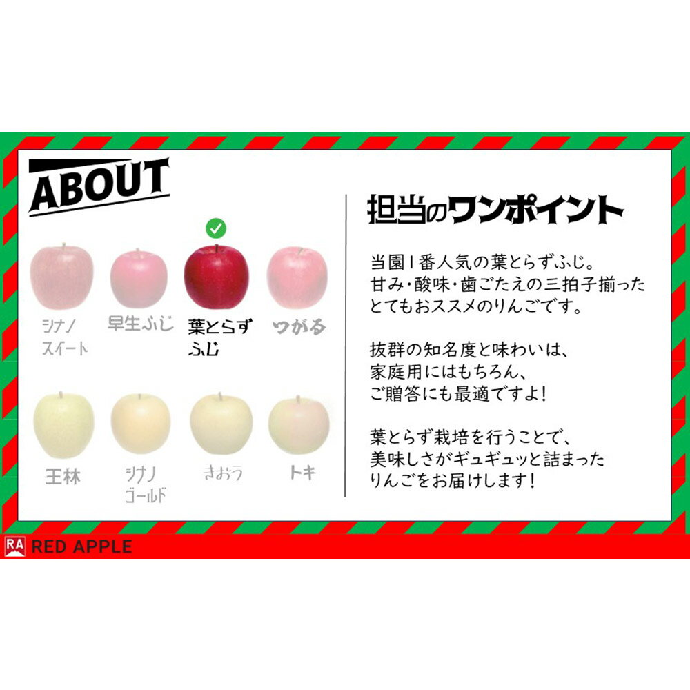 【ふるさと納税】 【25年12月発送】りんご 13度糖度保証【訳あり】家庭用 蜜入り 葉とらずふじ＆王林 約5kg サムネイル2