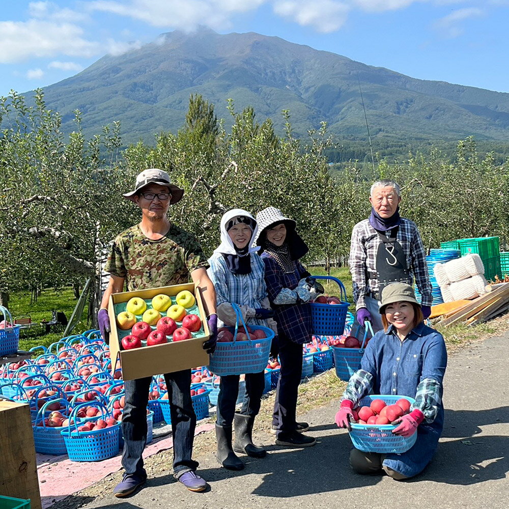 【ふるさと納税】りんご 家庭用 旬のリンゴ詰め合わせ 約5kg 糖度13度以上 サムネイル2