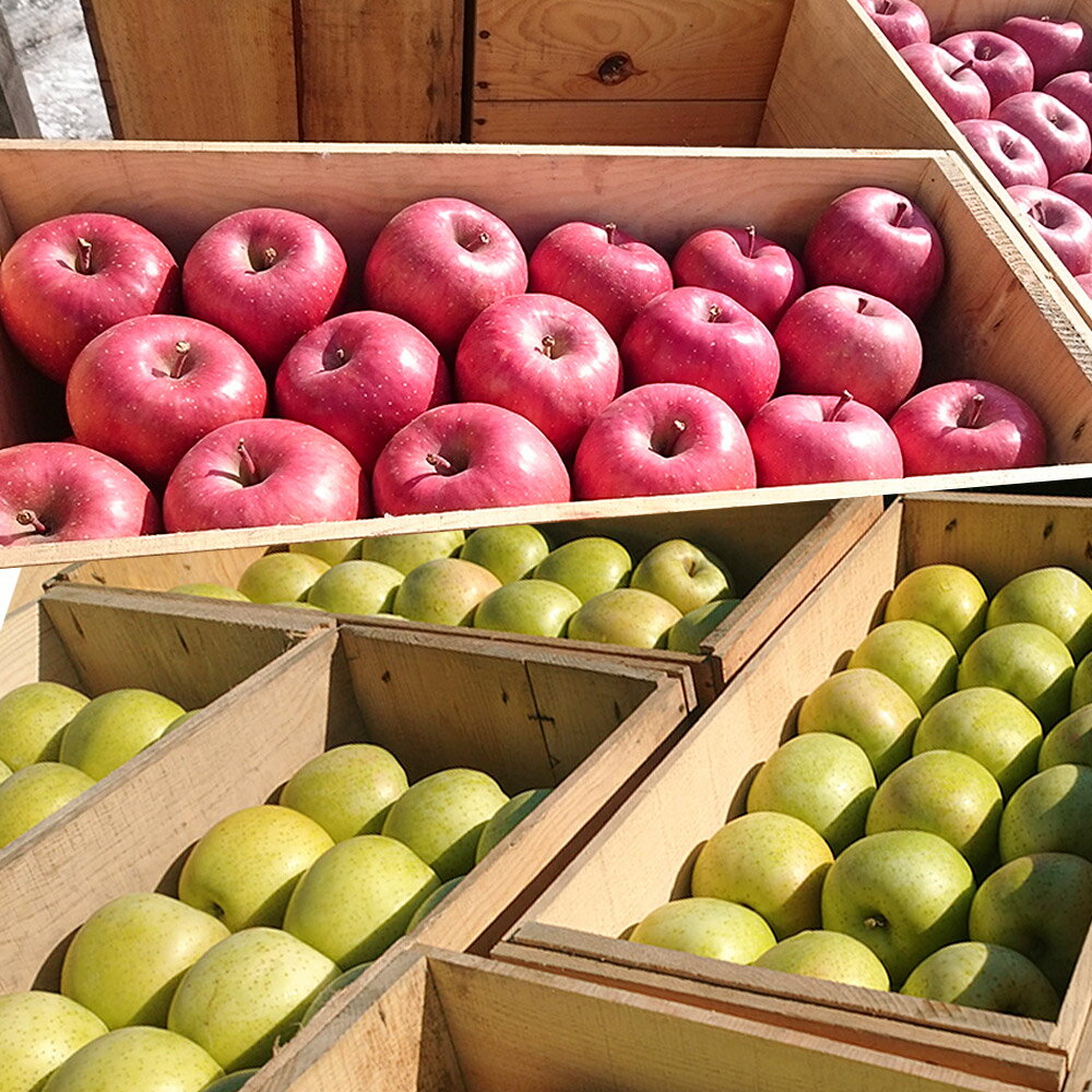 【ふるさと納税】りんご 家庭用 旬のリンゴ詰め合わせ 約5kg 糖度13度以上 サムネイル3