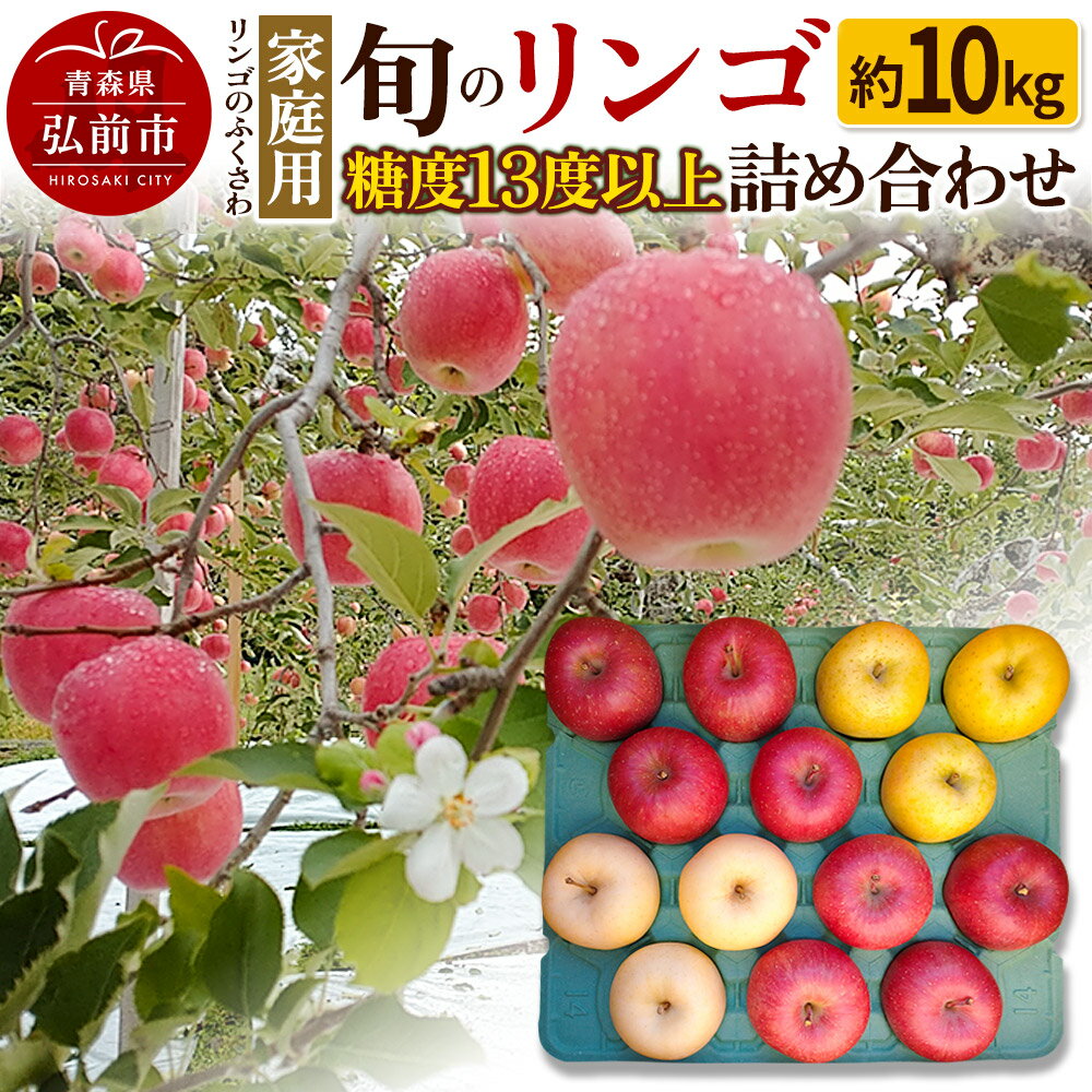 【レビューキャンペーン】【25年11月〜発送】りんご 家庭用 旬のリンゴ詰め合わせ 約10kg 糖度13度以上