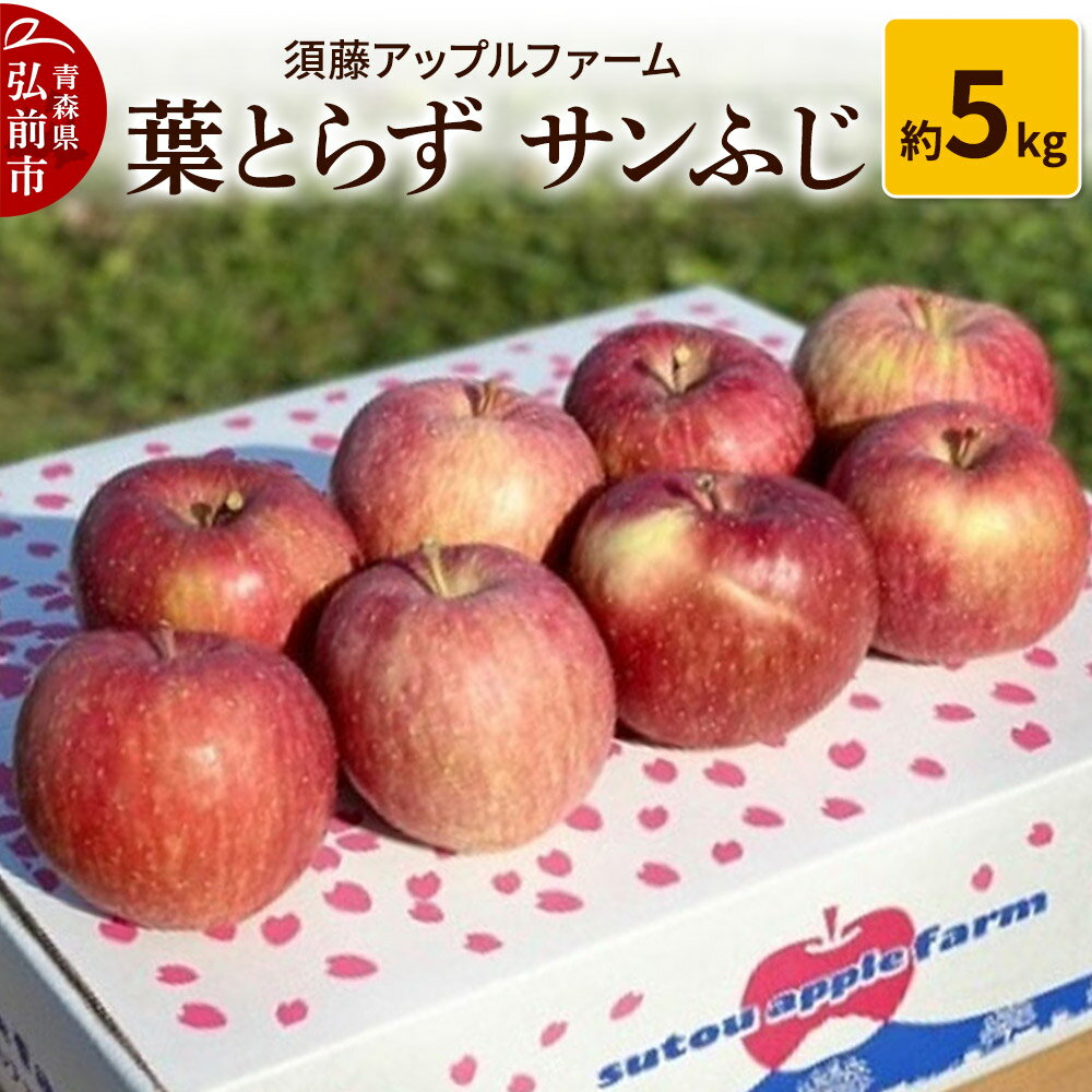 【26年1月発送】りんご 葉とらず サンふじ 約5kg