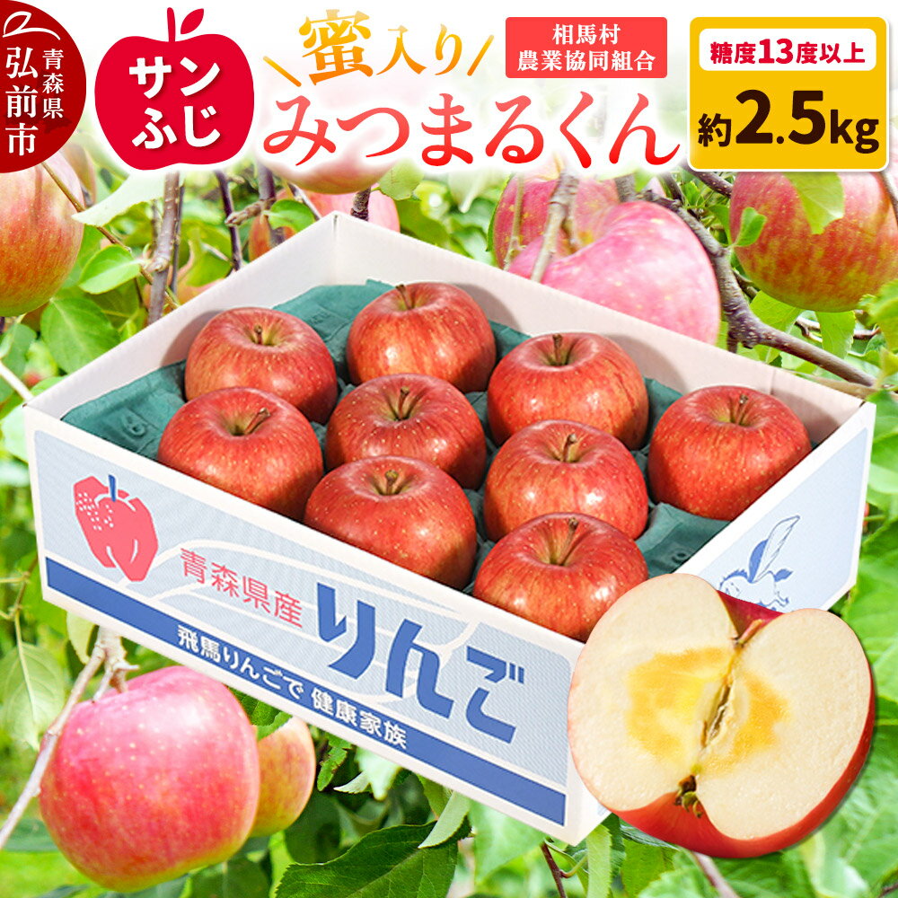 【25年11月〜発送】りんご 蜜入り サンふじ（みつまるくん）約 2.5kg 糖度13度以上