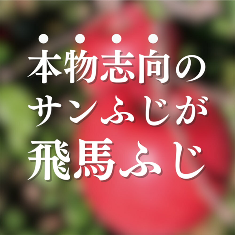 【ふるさと納税】 【25年11月〜発送】りんご 糖度14度以上 「 飛馬ふじ 」（サンふじ）約 2.5kg サムネイル3