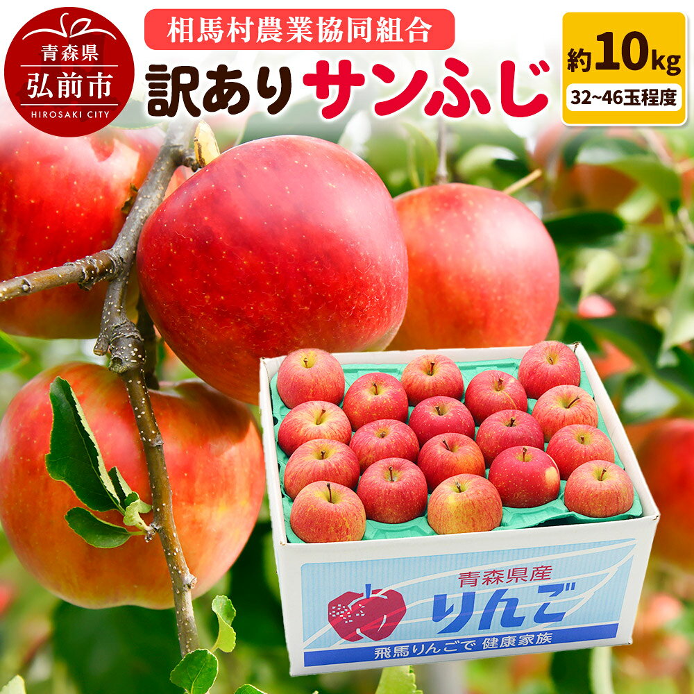 【26年3月発送】りんご【訳あり】サンふじ 約10kg（32〜46玉程度）