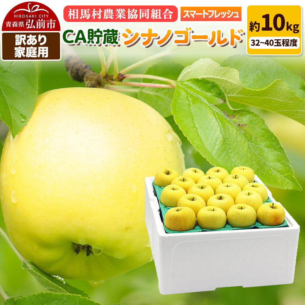 【26年3月発送】りんご【訳あり】家庭用 シナノゴールド約10kg（32〜40玉程度）CA スマートフレッシュ