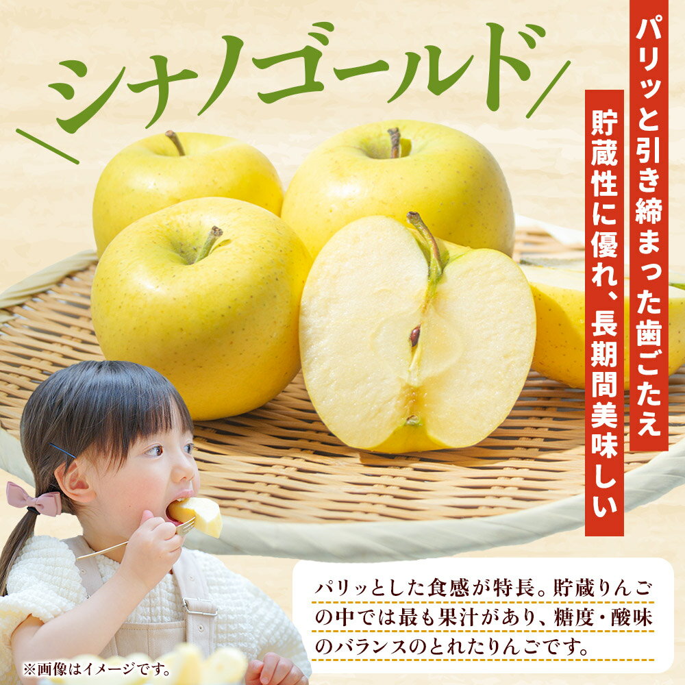 【ふるさと納税】 【26年3月発送】りんご【訳あり】家庭用 シナノゴールド約10kg（32〜40玉程度）CA スマートフレッシュ サムネイル2