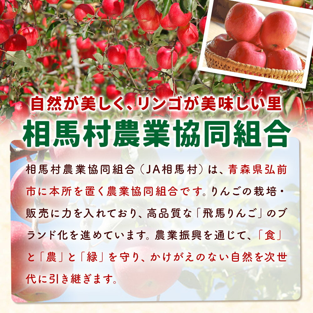 【ふるさと納税】 【26年3月発送】りんご 糖度14度以上【訳あり】家庭用 あまみふじ（葉取らずサンふじ）約10kg（32〜46玉程度） サムネイル3