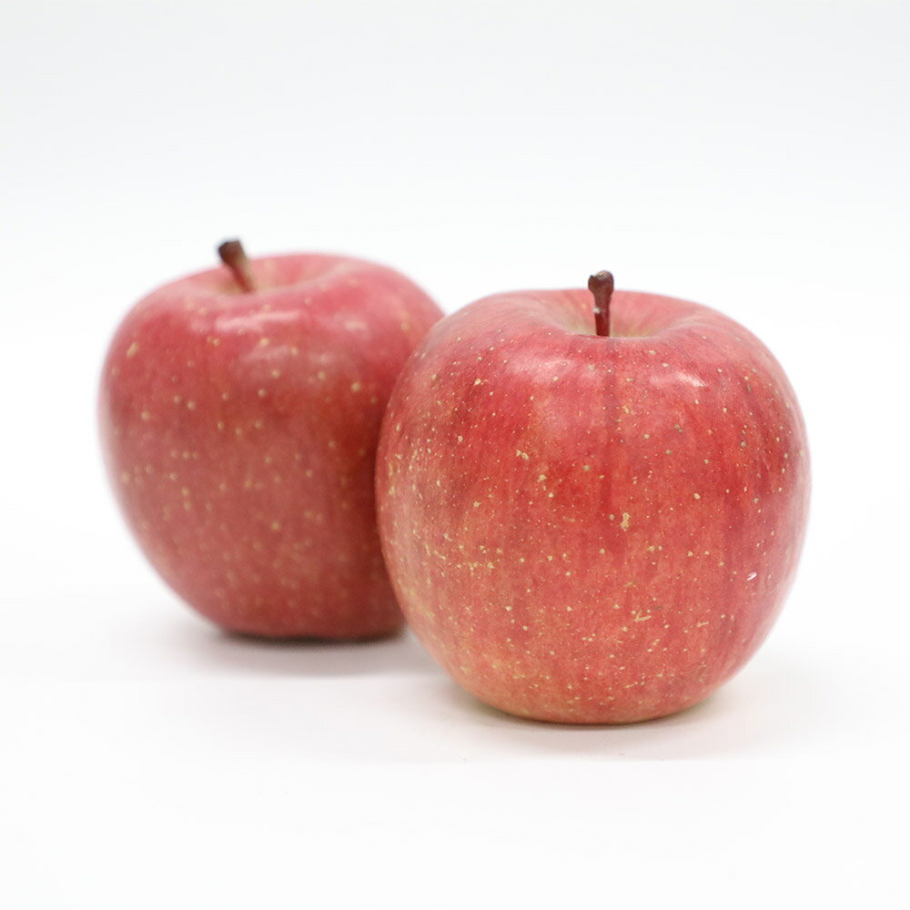 【ふるさと納税】 【26年5月発送・先行受付・クール便】りんご 贈答用 白熊 シナノスイート 約3kg（9〜12玉程度）スマートフレッシュ 糖度13度 サムネイル3