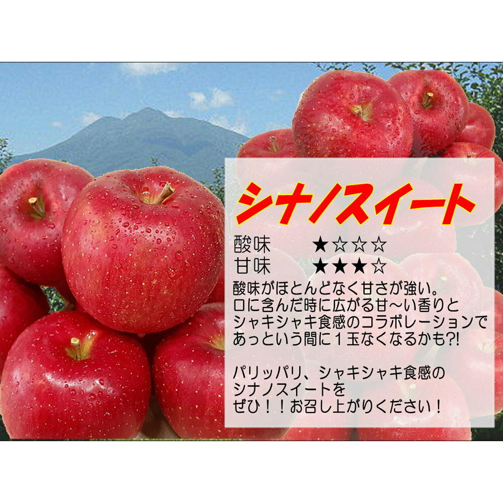 【ふるさと納税】 【26年5月発送・先行受付・クール便】りんご 贈答用 白熊 シナノスイート 約3kg（9〜12玉程度）スマートフレッシュ 糖度13度 サムネイル2