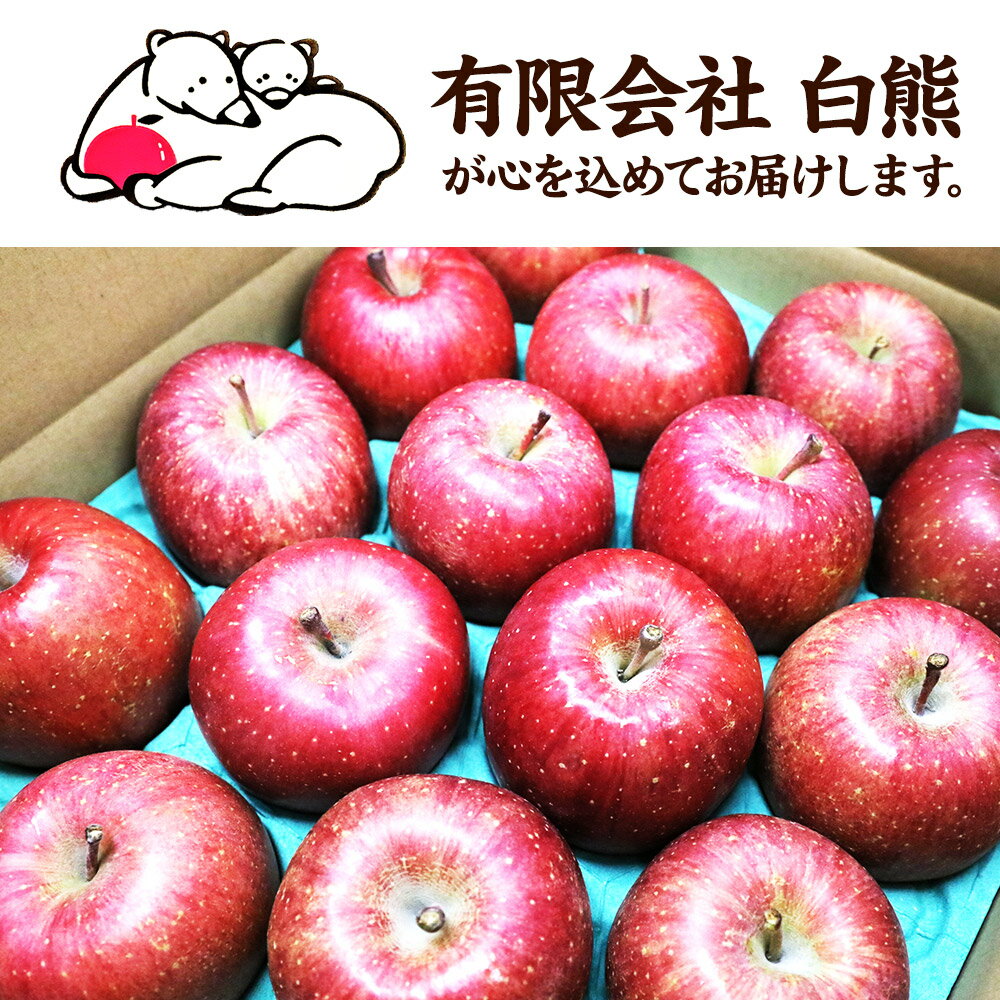 【ふるさと納税】 【25年12月発送・先行受付】りんご 訳あり家庭用 白熊 サンふじ 約5kg（14〜20玉程度）糖度13度 サムネイル3