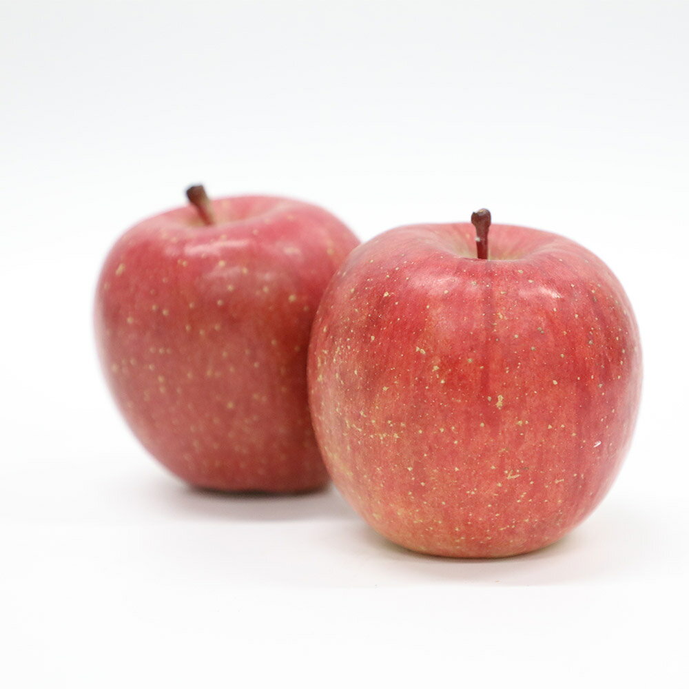 【ふるさと納税】 【25年11月発送・先行受付】りんご 特選 白熊 サンふじ 絆 約3kg（9〜12玉程度）糖度13度 サムネイル3