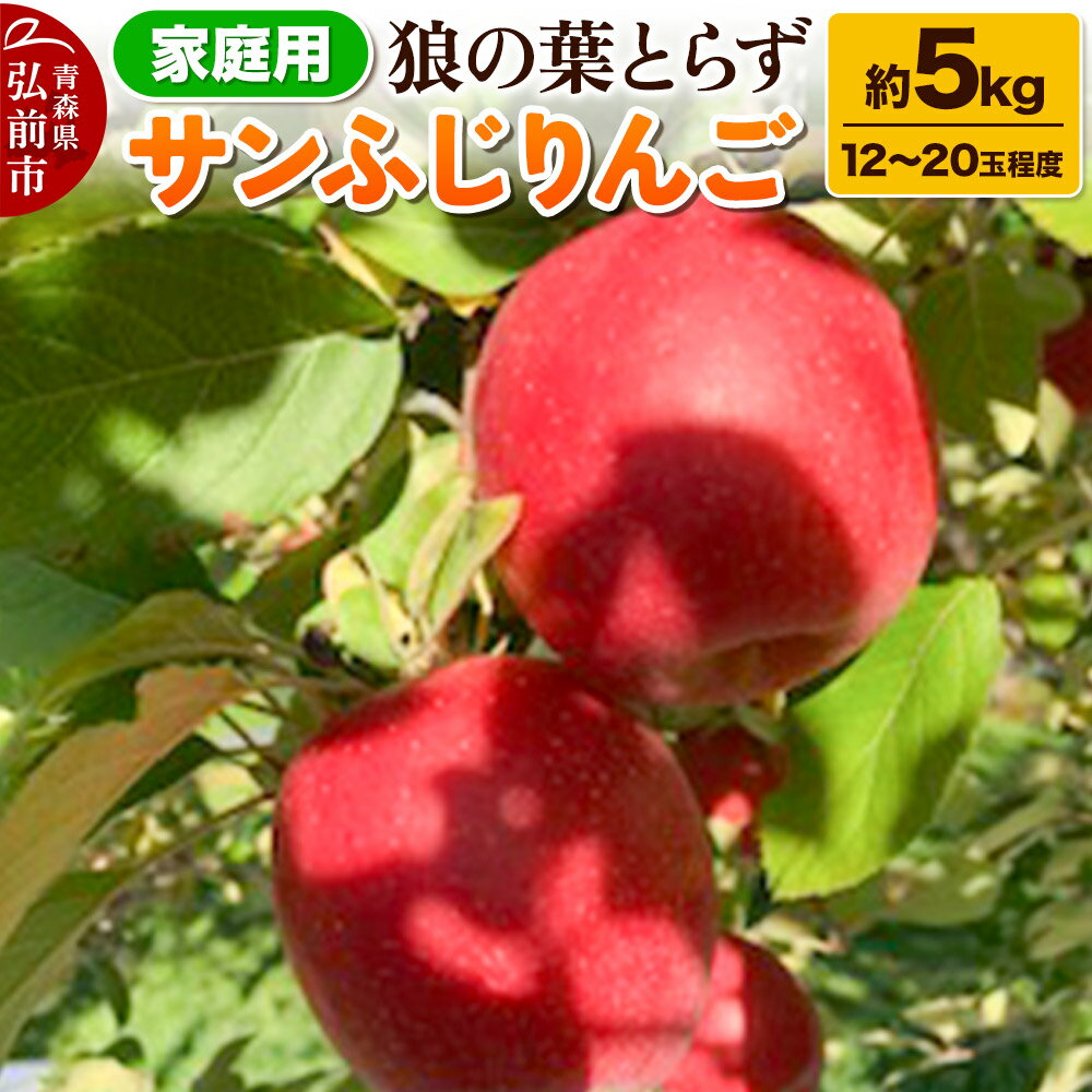 【25年12月〜発送】りんご サンふじりんご 狼の葉とらず 約5kg（12玉〜20玉程度）家庭用【訳あり】
