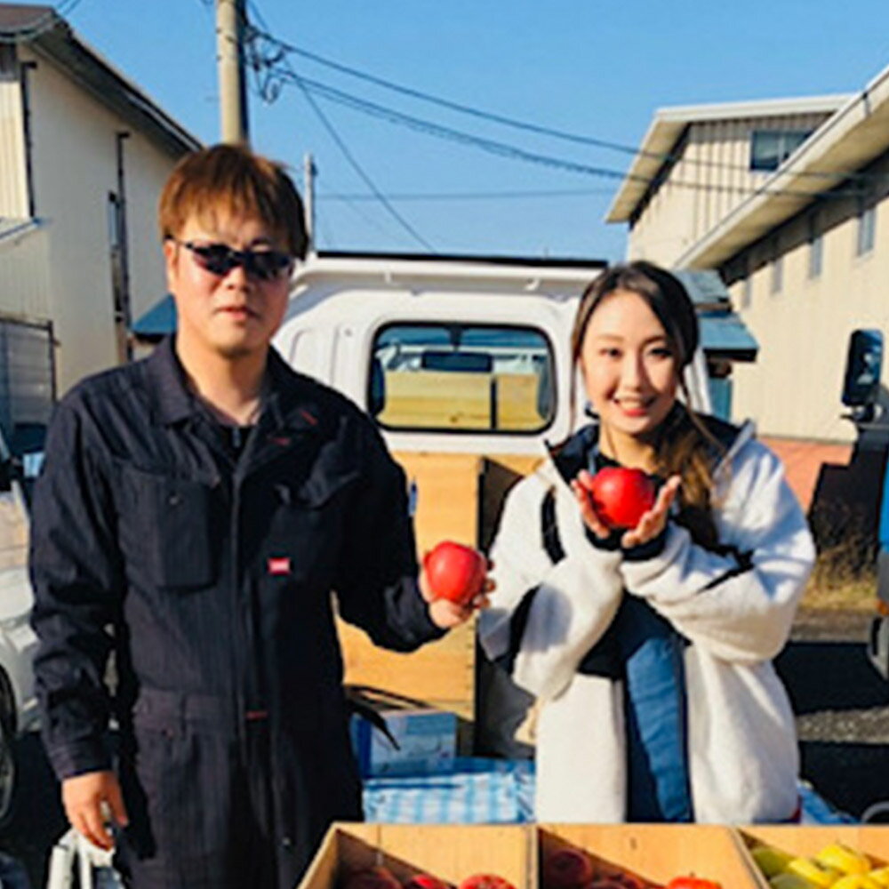 【ふるさと納税】 【25年12月発送】りんご サンふじりんご 狼の葉とらず 特選 約3kg（9玉〜12玉程度）【贈答用】 サムネイル2
