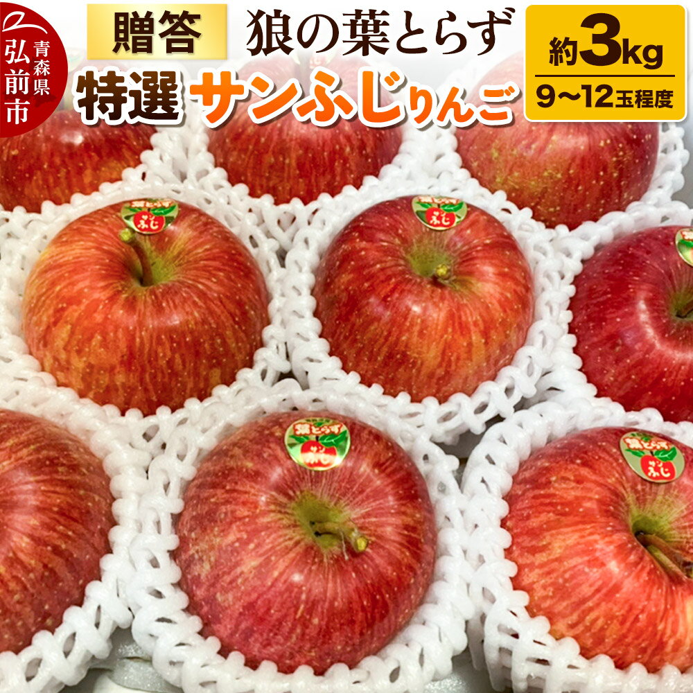 【25年12月発送】りんご サンふじりんご 狼の葉とらず 特選 約3kg（9玉〜12玉程度）【贈答用】