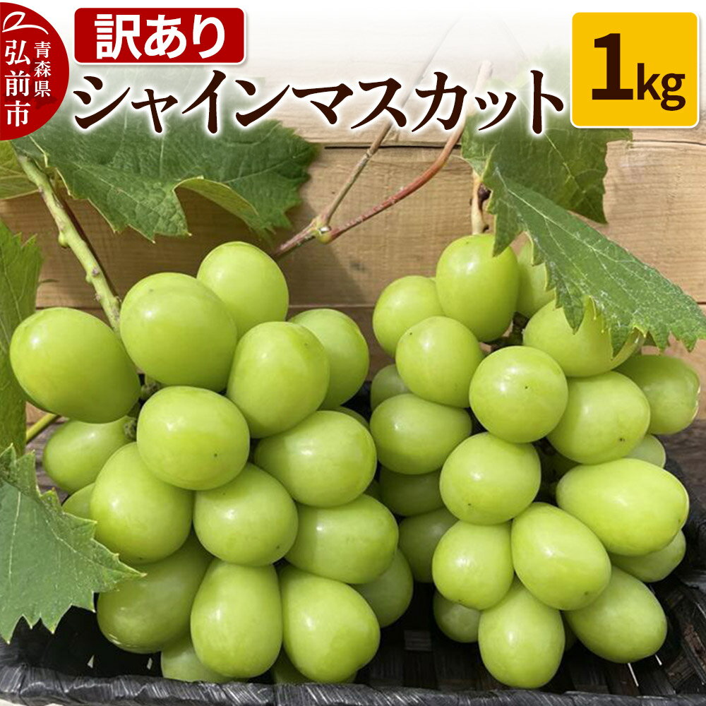 【訳あり】 シャインマスカット1kg ぶどう フルーツ 果物 ブドウ 葡萄 グレープ くだもの 産地直送