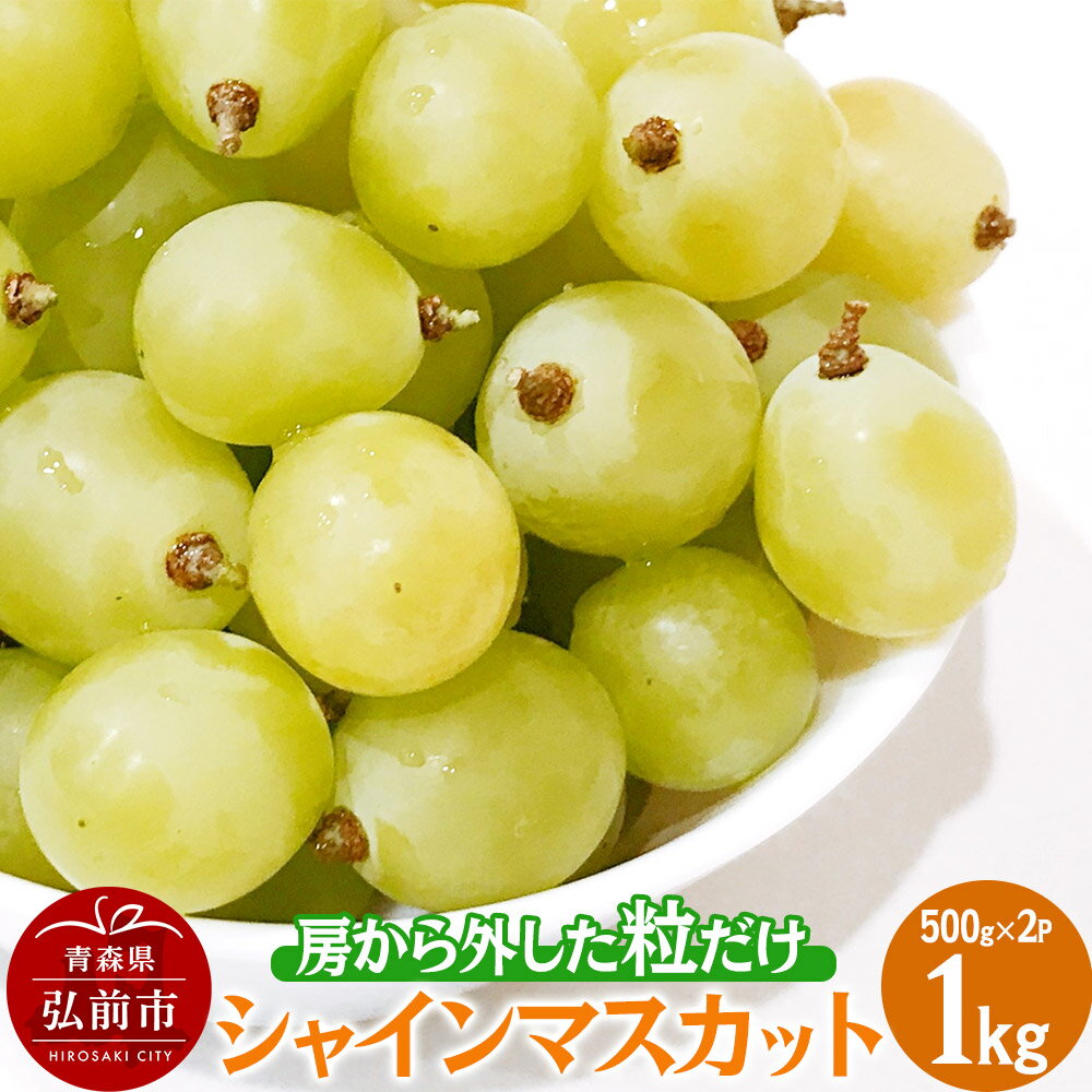 【訳あり】 房から外した粒だけシャインマスカット1kg（500g×2パック） ぶどう フルーツ 果物 ブドウ 葡萄 グレープ くだもの 産地直送