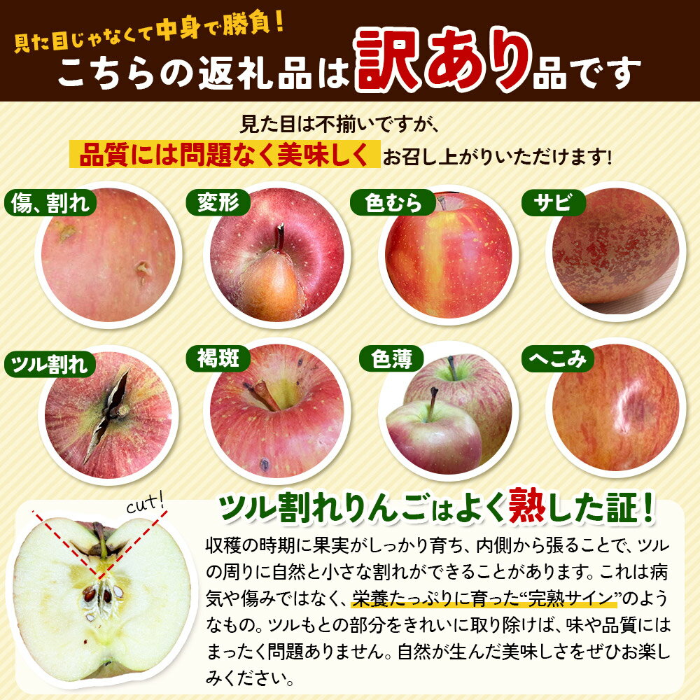 【ふるさと納税】 【25年11月〜発送】りんご【訳あり】家庭用 ぐんま名月 約5kg 糖度13度以上（糖度証明書付）【先行受付】 青森 果物 フルーツ 林檎 リンゴ くだもの 不揃い 規格外 予約 サムネイル2
