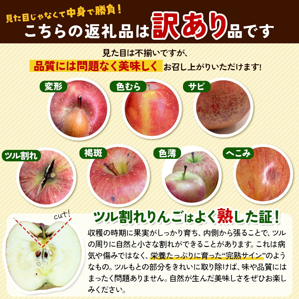 【ふるさと納税】【25年12月〜発送】りんご 【訳あり】家庭用 百年木の香 三上農園 旬のりんご 約5kg 品種おまかせ1品種【先行受付】 青森 果物 フルーツ 林檎 リンゴ くだもの 不揃い 規格外 予約 サムネイル2
