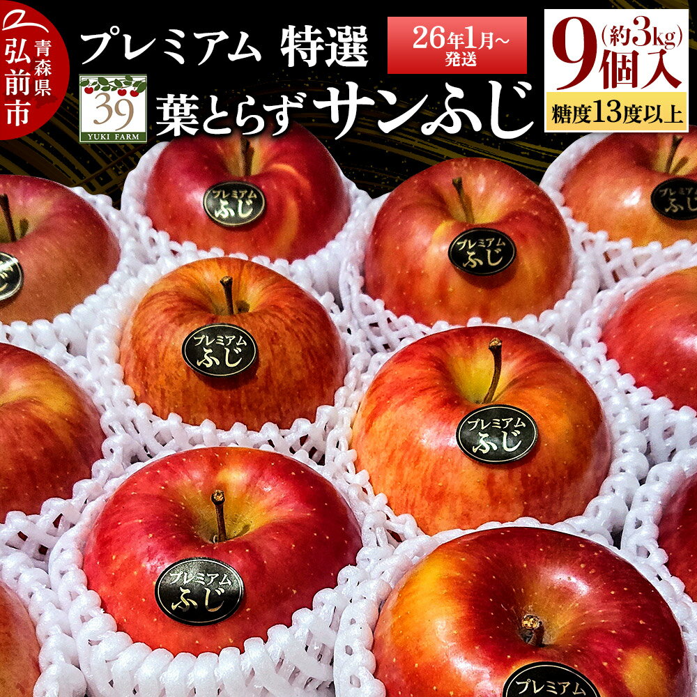 【26年1月〜発送】りんご 【 数量限定 】糖度13度以上 「特選」 プレミアム 葉とらずサンふじ 約 3kg 9個入り